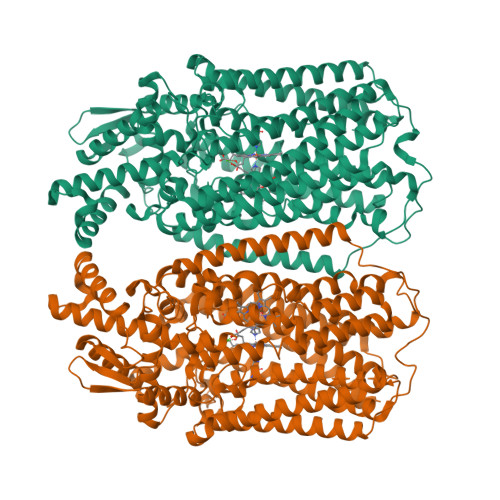 Structure 28PP