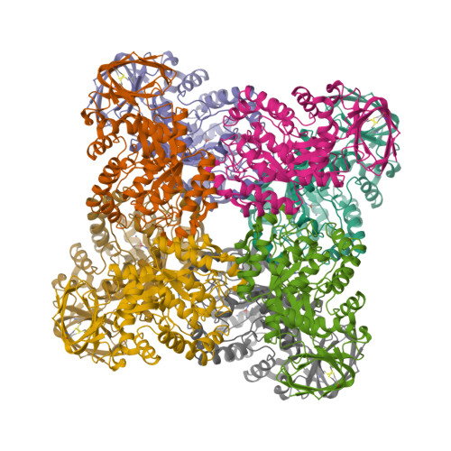 Structure 9L6P
