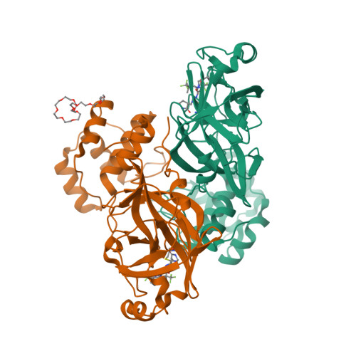 Structure 9PAJ