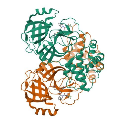 Structure 9PAN