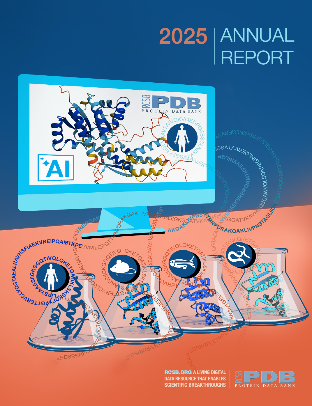 <a href="https://cdn.rcsb.org/rcsb-pdb/general_information/news_publications/annual_reports/annual_report_year_2025.pdf">Download the 2025 Annual Report PDF</a>