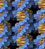 Celebrate DNA Day on April 25