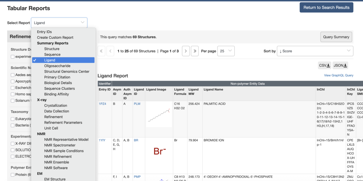 <I>Select from Summary Report options from the left pulldown menu</I>